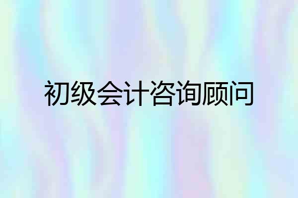 初级会计咨询顾问