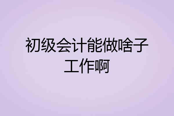 初级会计能做啥子工作啊