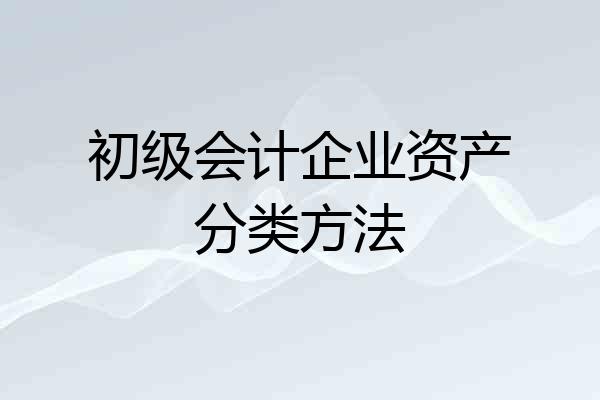 初级会计企业资产分类方法