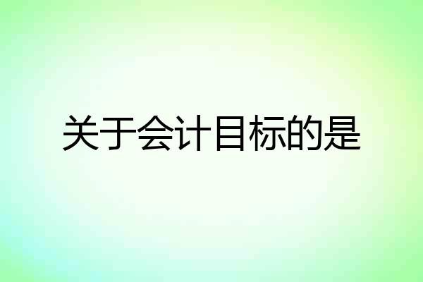 关于会计目标的是