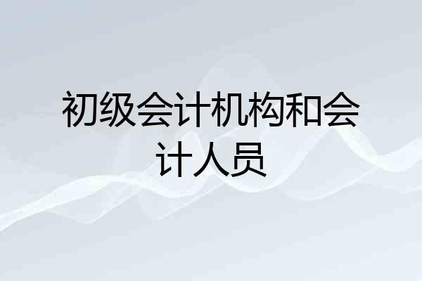 初级会计机构和会计人员