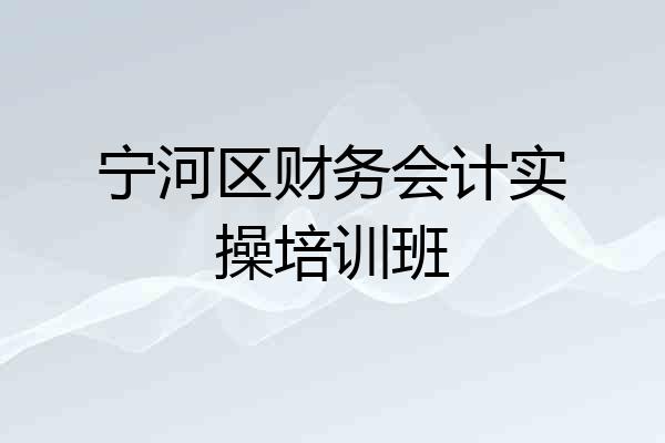 宁河区财务会计实操培训班