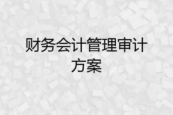 财务会计管理审计方案