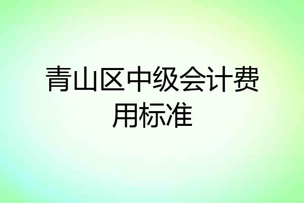 青山区中级会计费用标准