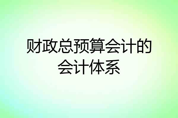 财政总预算会计的会计体系
