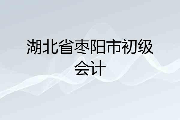 湖北省枣阳市初级会计
