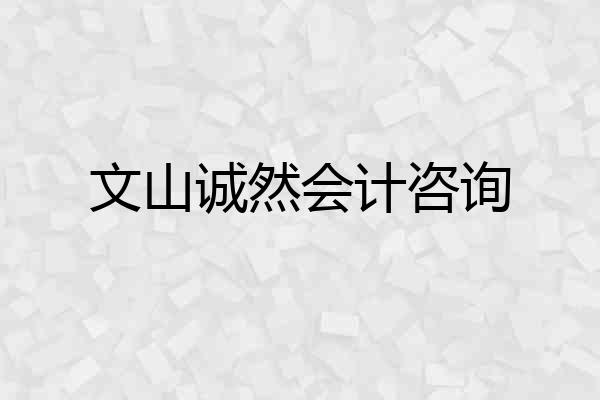 文山诚然会计咨询