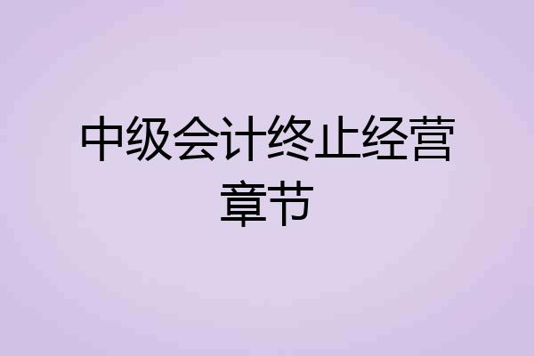 中级会计终止经营章节