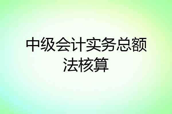 中级会计实务总额法核算