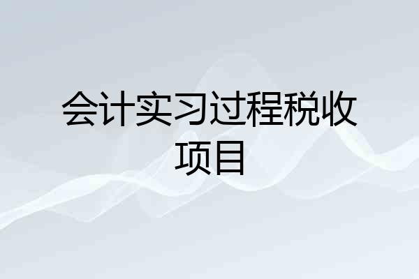 会计实习过程税收项目