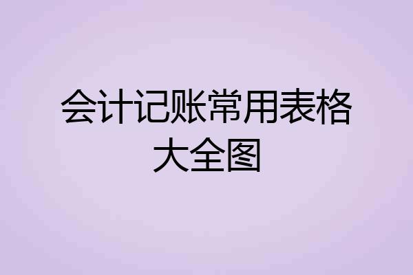 会计记账常用表格大全图