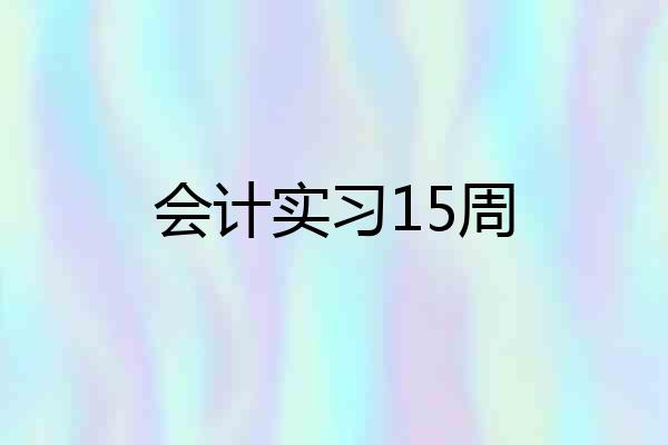 会计实习15周