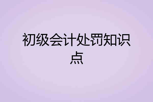 初级会计处罚知识点