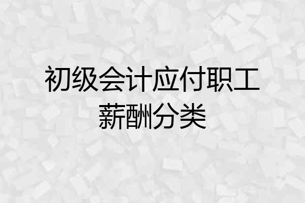 初级会计应付职工薪酬分类