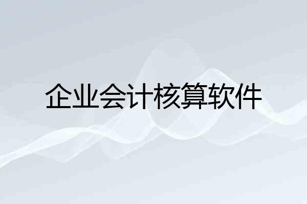 企业会计核算软件
