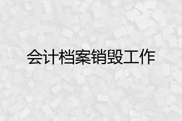 会计档案销毁工作