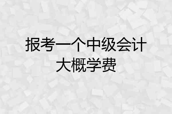 报考一个中级会计大概学费