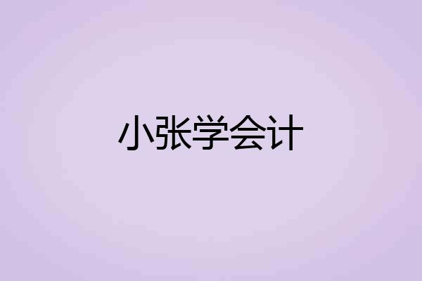 小张学会计