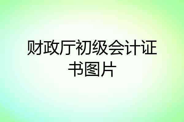 财政厅初级会计证书图片