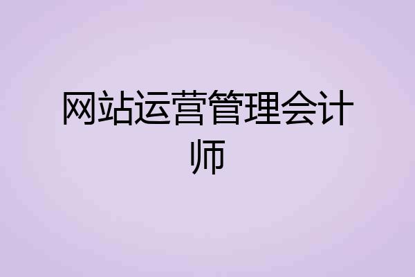网站运营管理会计师