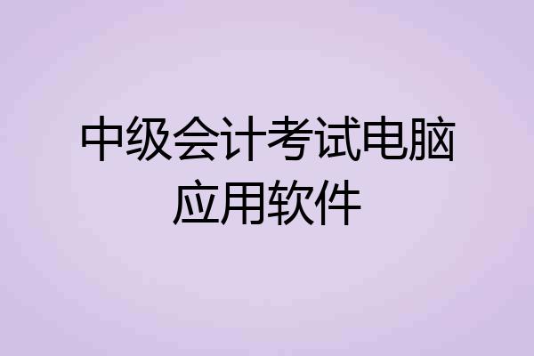 中级会计考试电脑应用软件