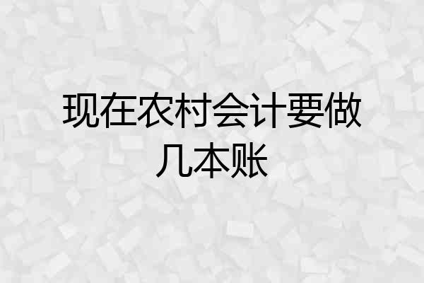 现在农村会计要做几本账