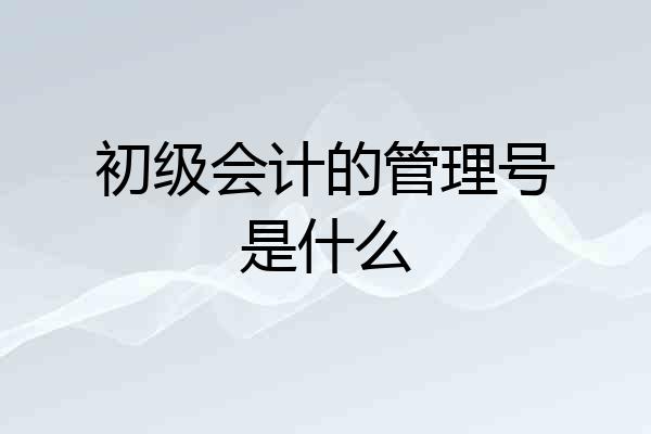 初级会计的管理号是什么