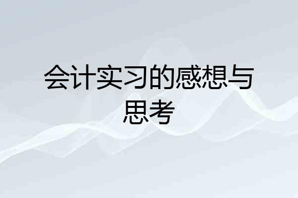 会计实习的感想与思考