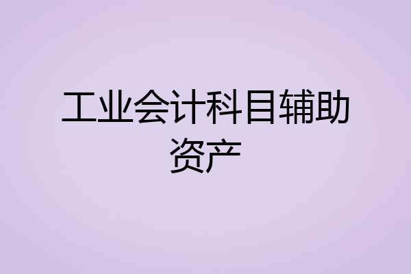 工业会计科目辅助资产