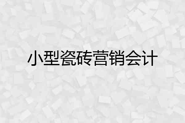 小型瓷砖营销会计