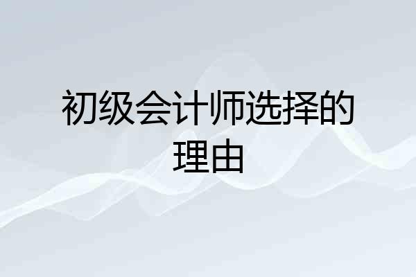 初级会计师选择的理由