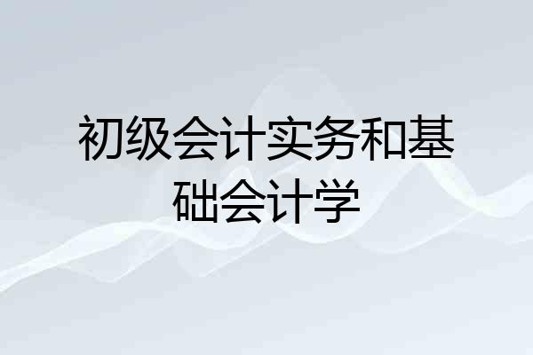 初级会计实务和基础会计学