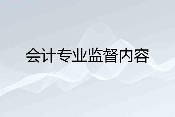 会计专业监督内容