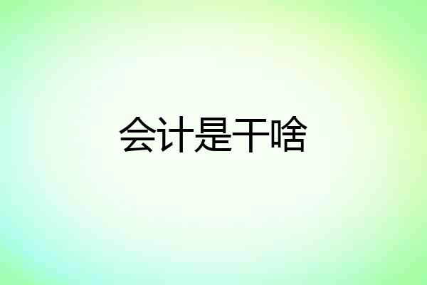 会计是干啥