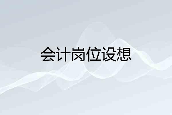 会计岗位设想