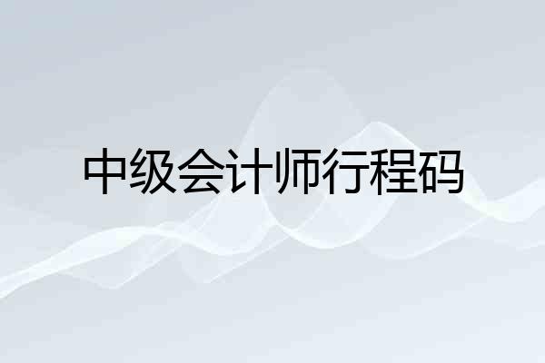 中级会计师行程码