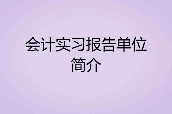 会计实习报告单位简介