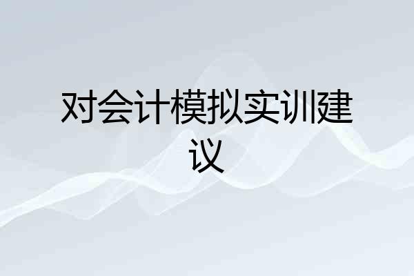 对会计模拟实训建议