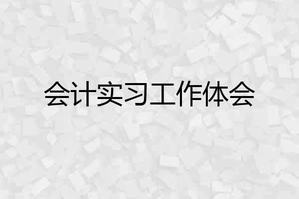 会计实习工作体会