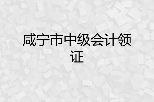 咸宁市中级会计领证