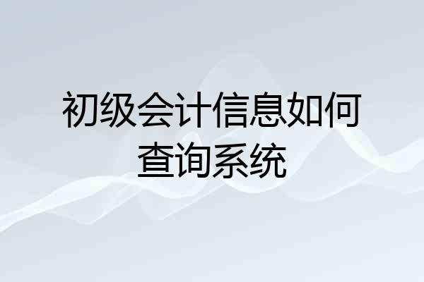 初级会计信息如何查询系统