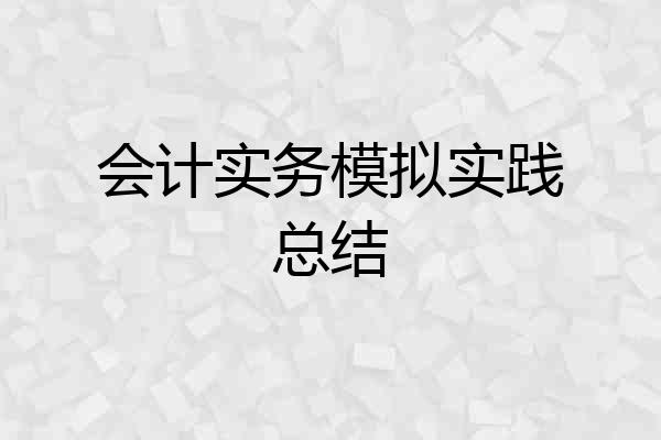 会计实务模拟实践总结