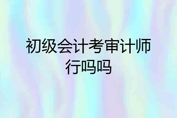 初级会计考审计师行吗吗