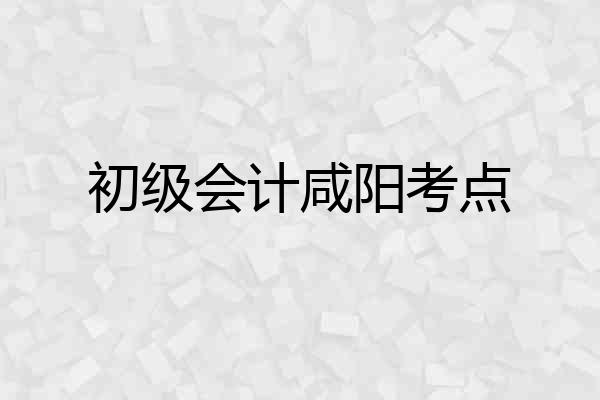 初级会计咸阳考点