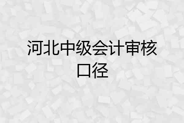 河北中级会计审核口径