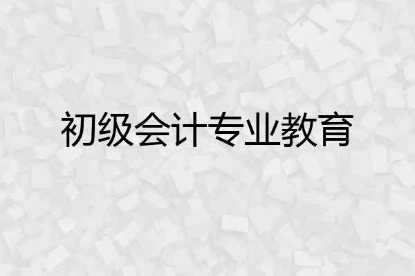 初级会计专业教育