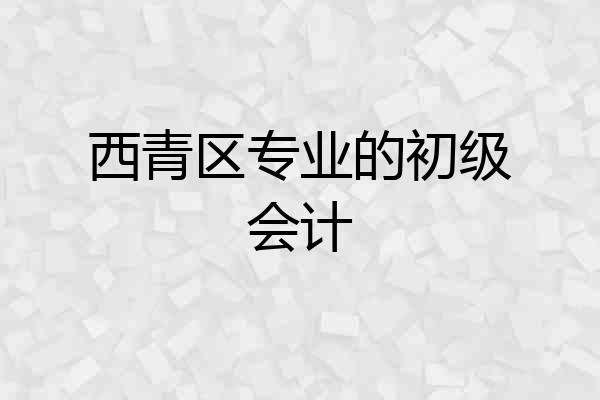 西青区专业的初级会计