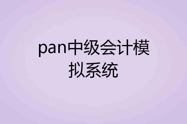 pan中级会计模拟系统