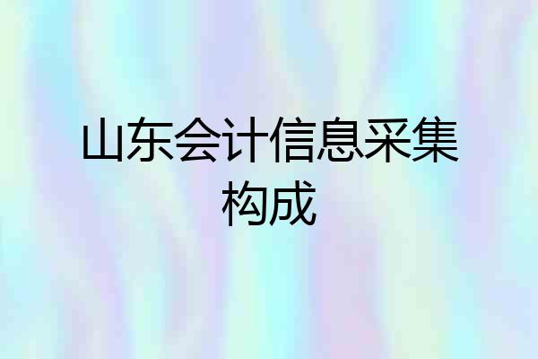 山东会计信息采集构成