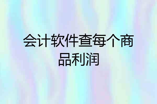 会计软件查每个商品利润